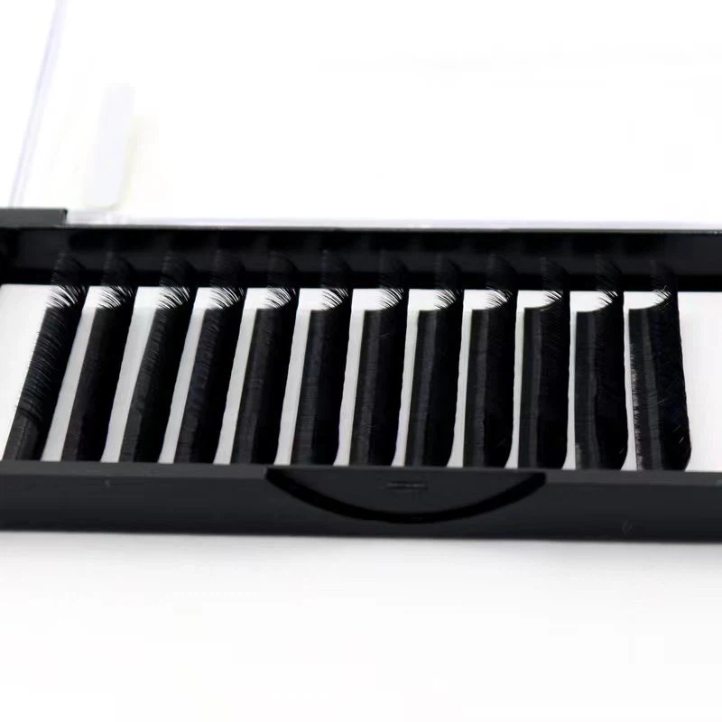 CC CLL LASH txuas ntxiv