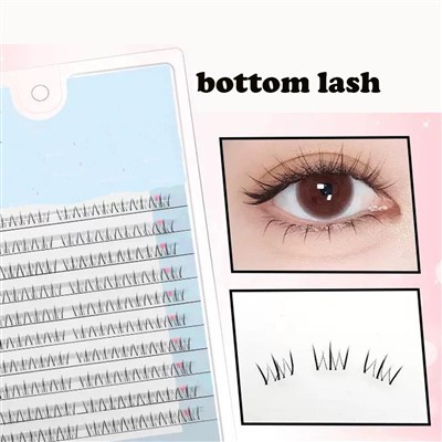 Hauv qab Lash Extension