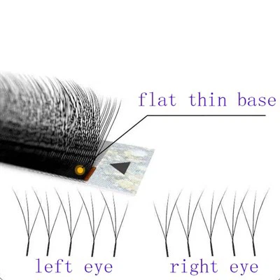 W Plaub Ntug Txuas Ntxiv